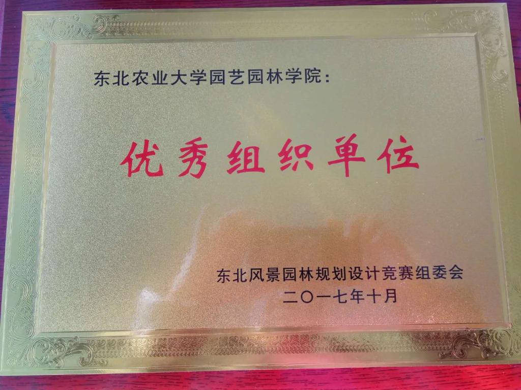 公司获得优秀组织单位