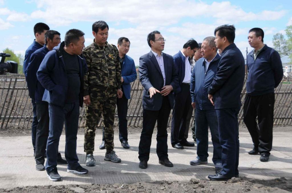 闫永庆经理(右五)对东发村绿化美化工程提出意见建议