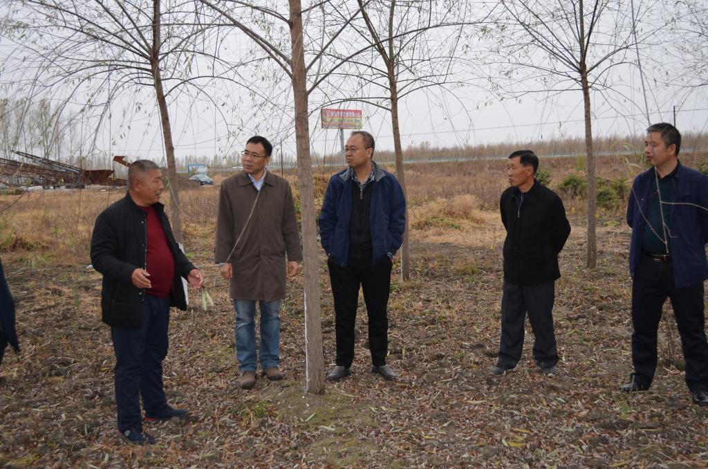 参观苗木基地